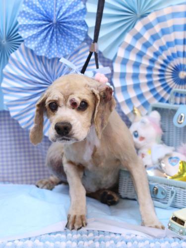 20231102れおんくん